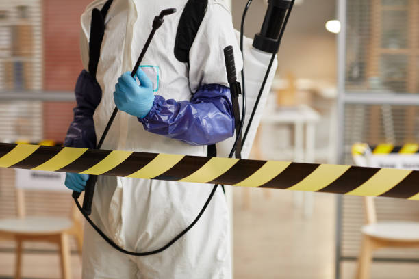 Professional Hoarding Cleanup technician working in Harrisonville, NJ